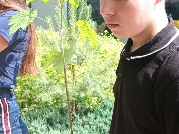 Porozmawiajmy w Łódzkiem i Piknik Rodzinny w Boguszycach, gm. Rawa Mazowiecka., <p>S.Pytliński</p>